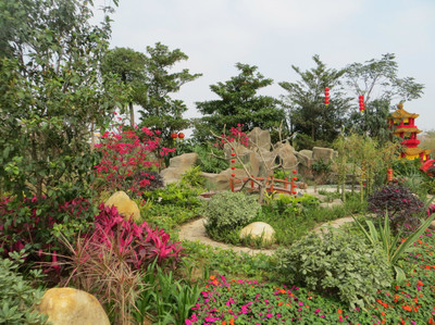 廣州園林博覽會 白云公園新春盛景，過年期間絕佳去處