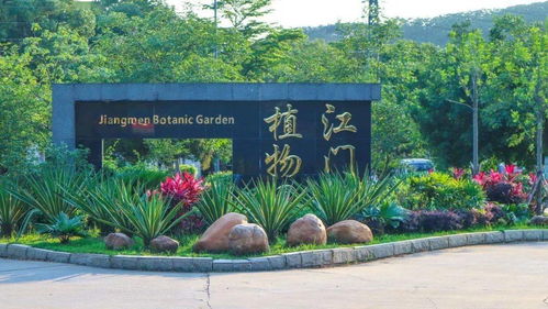 首屆杜阮羊肉美食節盛大啟動，融合美食與冰雪體驗